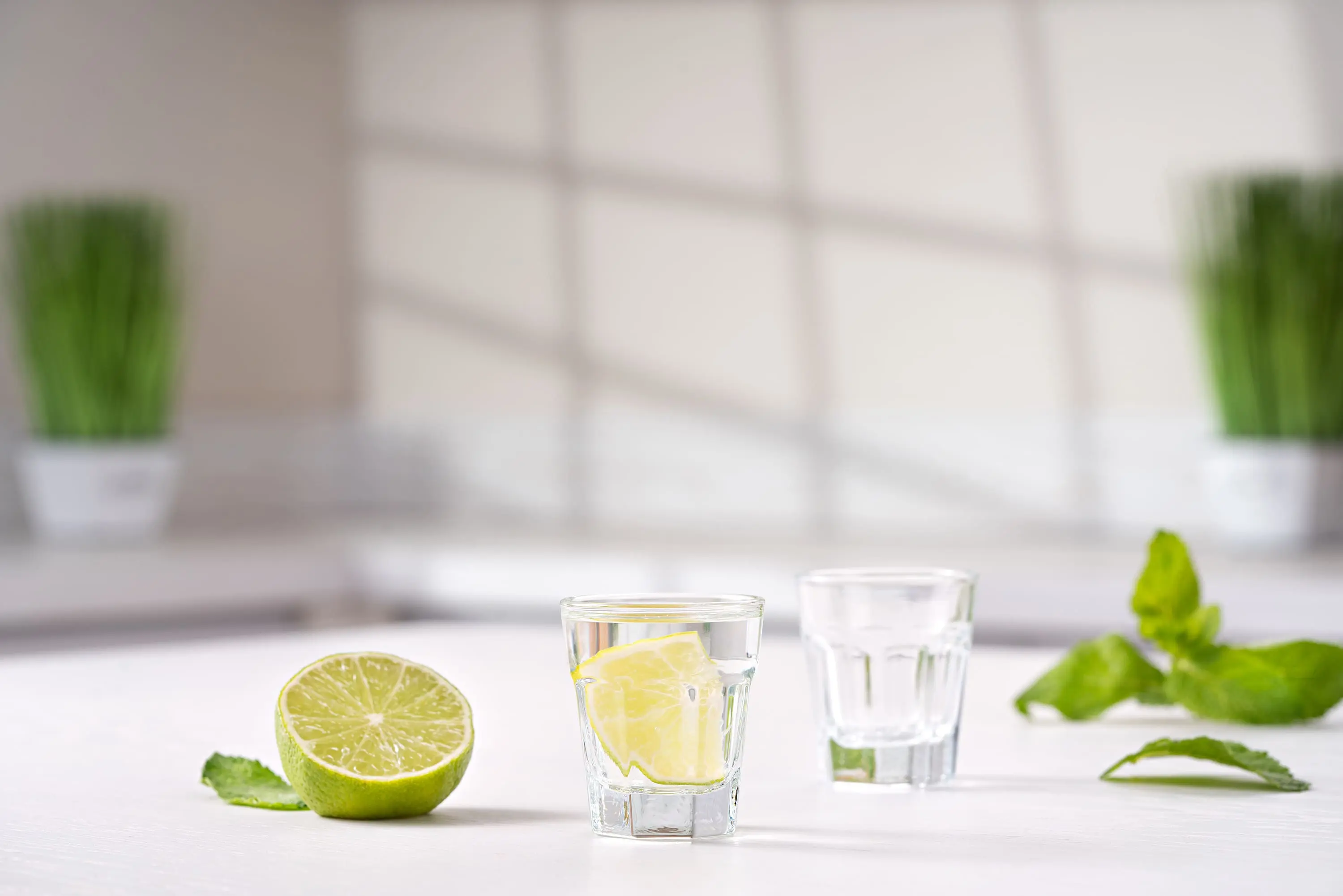 Набір стопок Ardesto Salerno, 45мл, 6шт, скло, прозорий - 2