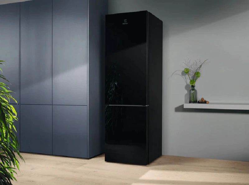 Холодильник Electrolux з нижн. мороз., 201x60х66, холод.відд.-244л, мороз.відд.-94л, 2дв., А++, NF, - 2