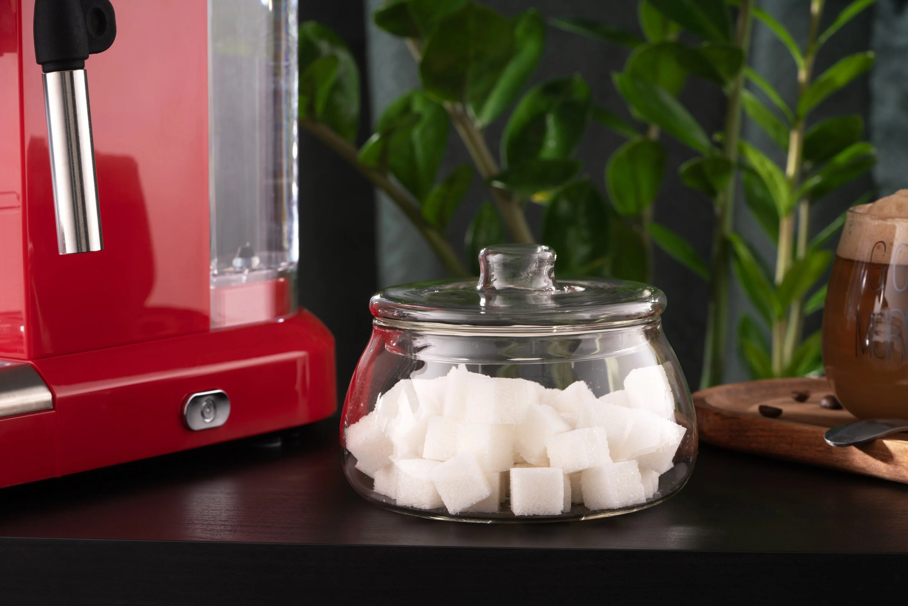 Цукорниця Ardesto, 500мл, боросилікатне скло, прозорий - 2