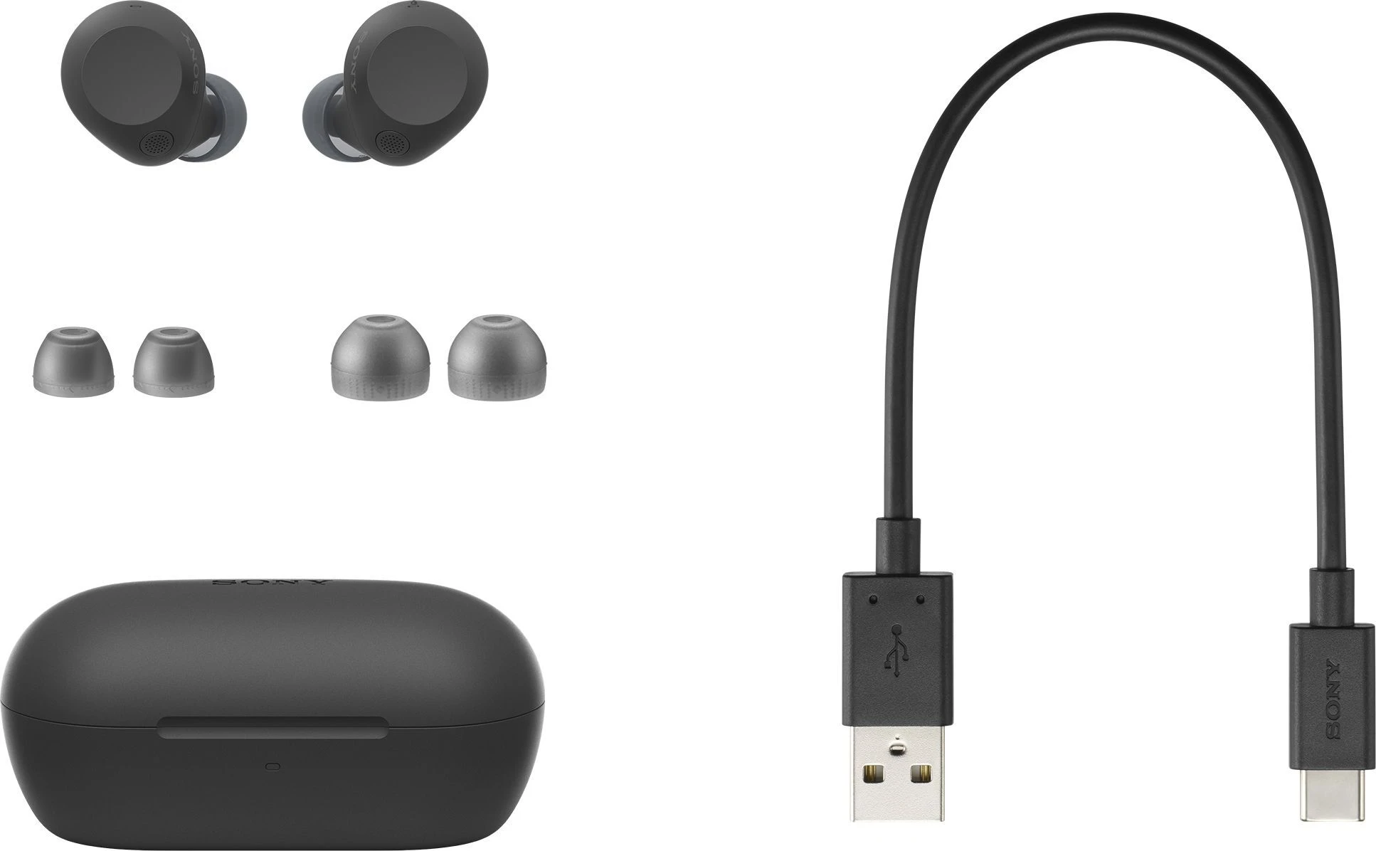 Навушники TWS Sony WF-C710N BT 5,3, ANC, IPX4, SBC, AAC, Mic, Чорний - 2