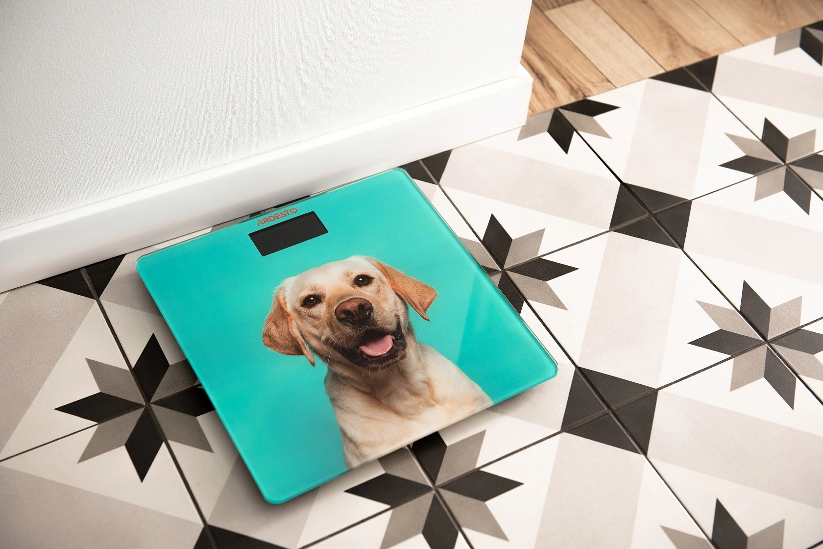 Ваги Ardesto підлогові Dog, 150кг, AAAx2 в комплекті, скло, багатокольорові - 2