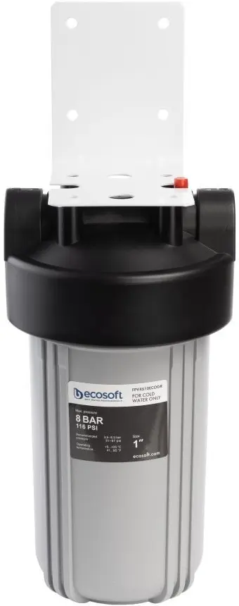 Фільтр магістральний Ecosoft ВВ10, підключення 1", 2 ущільнювальні кільця, без картриджа - 2