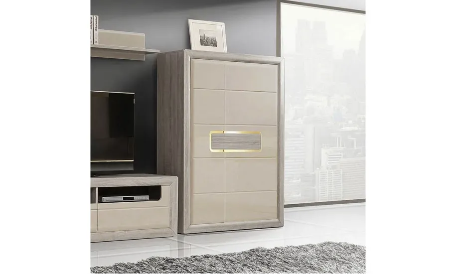 Шафа 2Д TIZIANO TZS52RB права - 2