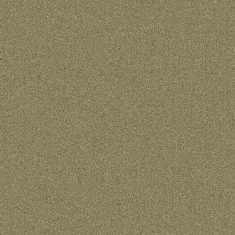 ЛДСП SAVIOLA 2800x1860x18мм Topmat/Topmat DD5 Оливковий