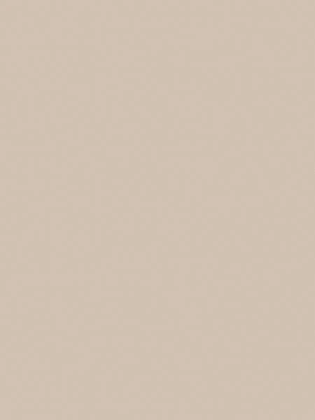 ЛДСП EGGER 2800x2070x18мм U156_ST9 Бежевый песок