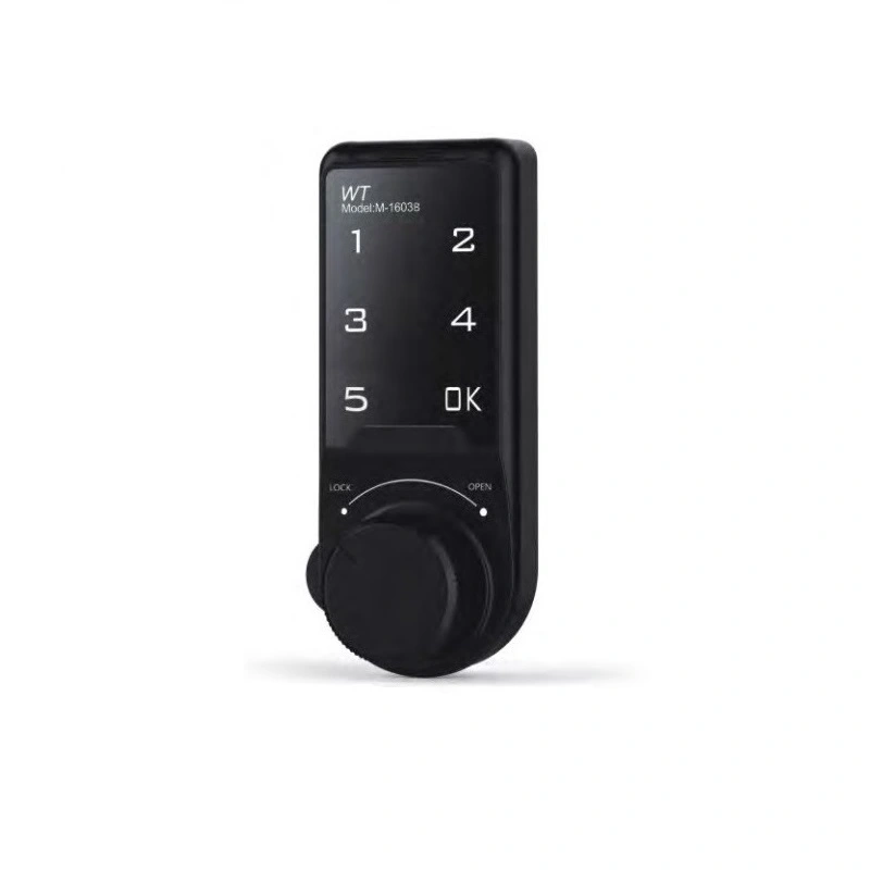 Замок RZ M-1603-20 електронний кодовий Чорний