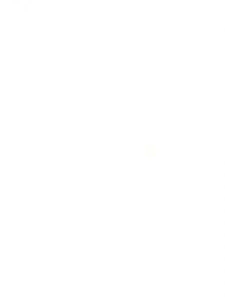 ЛДСП EGGER 2800x2070x18мм W1000_ST30 Белый премиум/глянец ВЫВЕЛИ